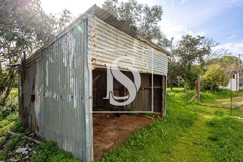 Villa i Tavira, Faro, Tavira - € 650.000 | Ref: DSTVRBFA203 - foto 15