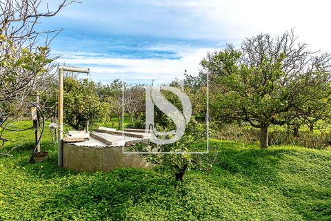 Villa i Tavira, Faro, Tavira - € 650.000 | Ref: DSTVRBFA203 - foto 17