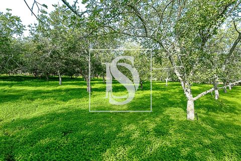 Villa i Tavira, Faro, Tavira - € 650.000 | Ref: DSTVRBFA203 - foto 18