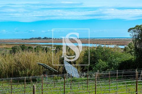 Villa i Tavira, Faro, Tavira - € 650.000 | Ref: DSTVRBFA203 - foto 19