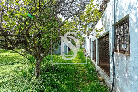 Villa i Tavira, Faro, Tavira - € 650.000 | Ref: DSTVRBFA203 - foto 20