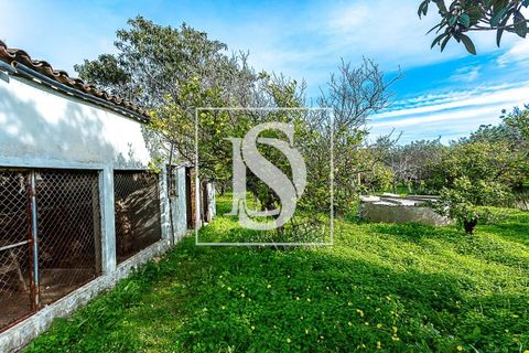 Villa i Tavira, Faro, Tavira - € 650.000 | Ref: DSTVRBFA203 - foto 22