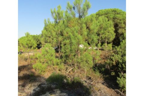Helårsgrund i Santo Andre, Setubal, Santo Andre - € 160.000 | Ref: 11361 - foto 1