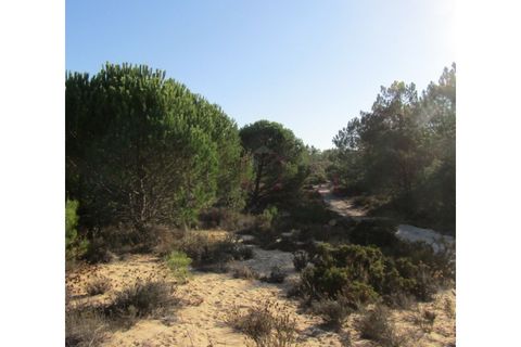 Helårsgrund i Santo Andre, Setubal, Santo Andre - € 160.000 | Ref: 11361 - foto 2