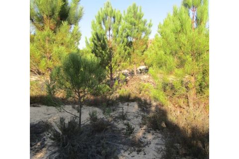 Helårsgrund i Santo Andre, Setubal, Santo Andre - € 160.000 | Ref: 11361 - foto 3