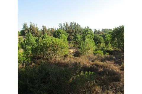 Helårsgrund i Santo Andre, Setubal, Santo Andre - € 160.000 | Ref: 11361 - foto 4