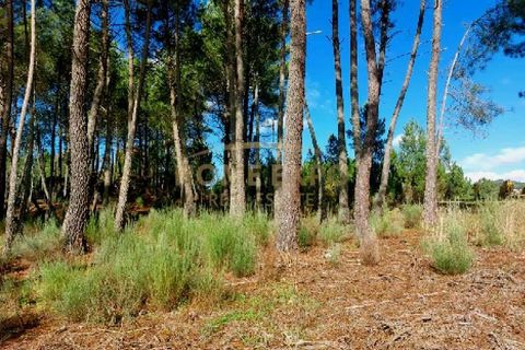 Terra a Vila da Ponte, Viseu, Vila da Ponte - € 20.000 | Ref: HOME579568 - foto 2