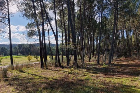 Terra a Vila da Ponte, Viseu, Vila da Ponte - € 20.000 | Ref: HOME579568 - foto 3