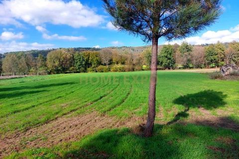 Terra a Vila da Ponte, Viseu, Vila da Ponte - € 20.000 | Ref: HOME579568 - foto 4