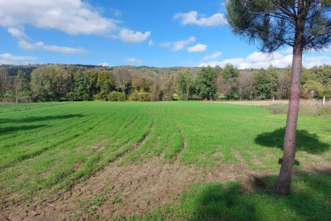 Terra a Vila da Ponte, Viseu, Vila da Ponte - € 20.000 | Ref: HOME579568 - foto 5
