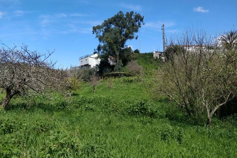 Helårsgrund i Camarate, Lisbon, Camarate - € 67.000 | Ref: HOME546489 - foto 3