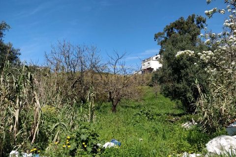 Helårsgrund i Camarate, Lisbon, Camarate - € 67.000 | Ref: HOME546489 - foto 4