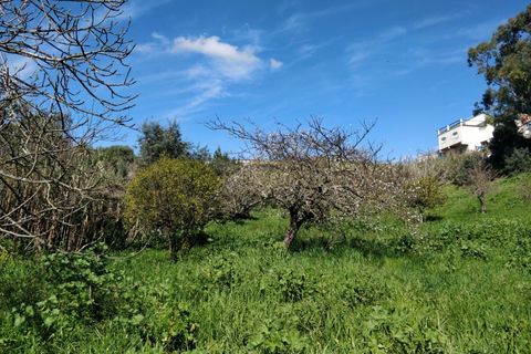 Helårsgrund i Camarate, Lisbon, Camarate - € 67.000 | Ref: HOME546489 - foto 5