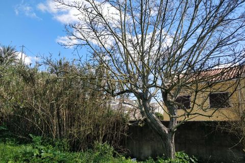 Helårsgrund i Camarate, Lisbon, Camarate - € 67.000 | Ref: HOME546489 - foto 7