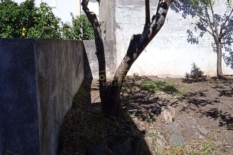 Villa a Alter do Chao, Portalegre, Alter do Chao - € 145.000 | Ref: HOME576101 - foto 15