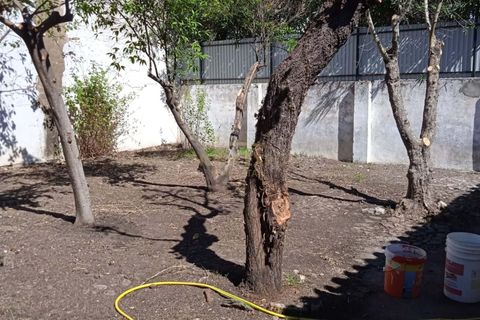 Villa a Alter do Chao, Portalegre, Alter do Chao - € 145.000 | Ref: HOME576101 - foto 16