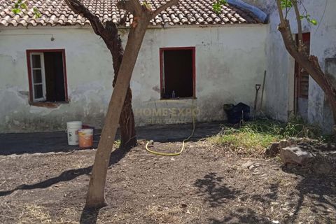 Villa a Alter do Chao, Portalegre, Alter do Chao - € 145.000 | Ref: HOME576101 - foto 20