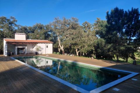 Landejendom i Santo Andre, Setubal, Santo Andre - € 3.400.000 | Ref: HOME581781 - foto 4