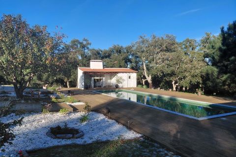 Landejendom i Santo Andre, Setubal, Santo Andre - € 3.400.000 | Ref: HOME581781 - foto 33
