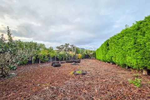 Villa i Candelaria, Pico, Candelaria - € 760.000 | Ref: ZMPT583639 - foto 35