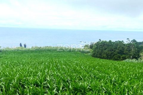 Terra a Mosteiros, Sao Miguel, Mosteiros - € 85.900 | Ref: ZMPT554514 - foto 10