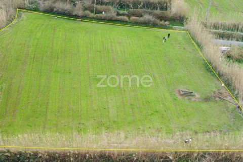 Terra a Mosteiros, Sao Miguel, Mosteiros - € 85.900 | Ref: ZMPT554514 - foto 5