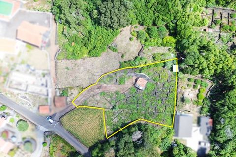 Helårsgrund i Prainha, Pico, Prainha - € 76.000 | Ref: ZMPT581214 - foto 2