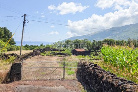 Helårsgrund i Prainha, Pico, Prainha - € 76.000 | Ref: ZMPT581214 - foto 1