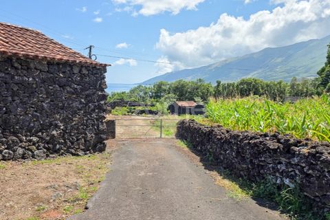 Helårsgrund i Prainha, Pico, Prainha - € 76.000 | Ref: ZMPT581214 - foto 3