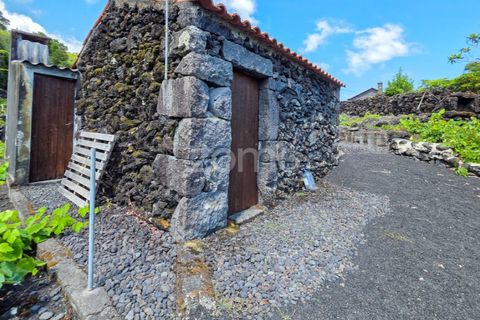 Helårsgrund i Prainha, Pico, Prainha - € 76.000 | Ref: ZMPT581214 - foto 4