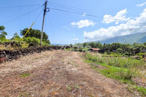 Helårsgrund i Prainha, Pico, Prainha - € 76.000 | Ref: ZMPT581214 - foto 5