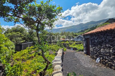 Helårsgrund i Prainha, Pico, Prainha - € 76.000 | Ref: ZMPT581214 - foto 6