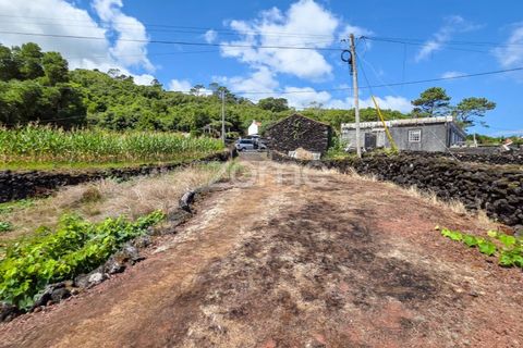 Helårsgrund i Prainha, Pico, Prainha - € 76.000 | Ref: ZMPT581214 - foto 8