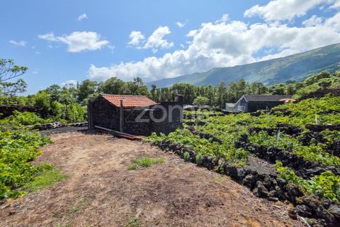 Helårsgrund i Prainha, Pico, Prainha - € 76.000 | Ref: ZMPT581214 - foto 9