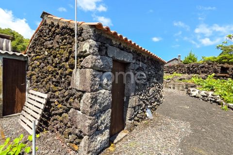 Helårsgrund i Prainha, Pico, Prainha - € 76.000 | Ref: ZMPT581214 - foto 10