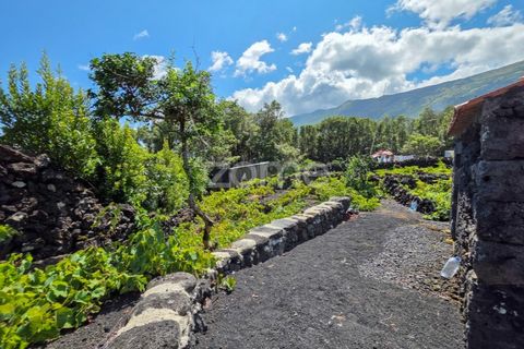Helårsgrund i Prainha, Pico, Prainha - € 76.000 | Ref: ZMPT581214 - foto 11