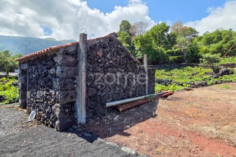 Helårsgrund i Prainha, Pico, Prainha - € 76.000 | Ref: ZMPT581214 - foto 12