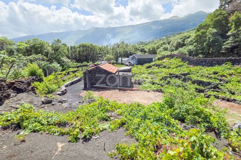 Helårsgrund i Prainha, Pico, Prainha - € 76.000 | Ref: ZMPT581214 - foto 13
