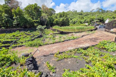 Helårsgrund i Prainha, Pico, Prainha - € 76.000 | Ref: ZMPT581214 - foto 14