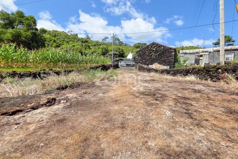Helårsgrund i Prainha, Pico, Prainha - € 76.000 | Ref: ZMPT581214 - foto 15
