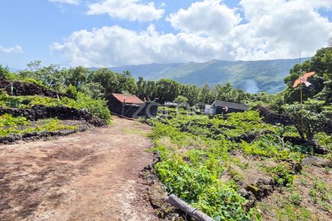 Helårsgrund i Prainha, Pico, Prainha - € 76.000 | Ref: ZMPT581214 - foto 16