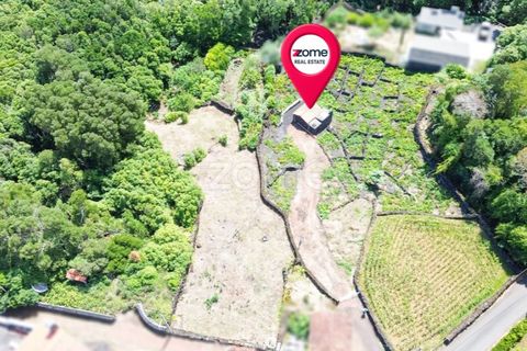 Helårsgrund i Prainha, Pico, Prainha - € 76.000 | Ref: ZMPT581214 - foto 17
