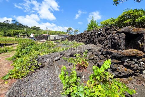 Helårsgrund i Prainha, Pico, Prainha - € 76.000 | Ref: ZMPT581214 - foto 19
