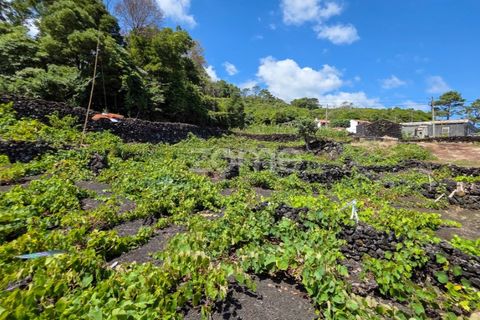 Helårsgrund i Prainha, Pico, Prainha - € 76.000 | Ref: ZMPT581214 - foto 20