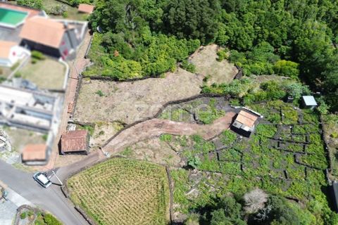 Helårsgrund i Prainha, Pico, Prainha - € 76.000 | Ref: ZMPT581214 - foto 21