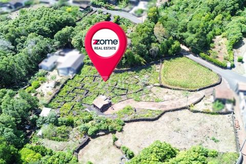 Helårsgrund i Prainha, Pico, Prainha - € 76.000 | Ref: ZMPT581214 - foto 22