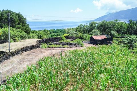 Helårsgrund i Prainha, Pico, Prainha - € 76.000 | Ref: ZMPT581214 - foto 23