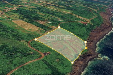 Tomt i Capelo, Faial, Capelo - € 335 000 | Ref: ZMPT579649 - foto 7