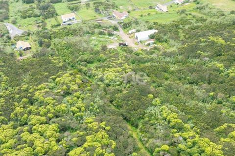 Tomt i Capelo, Faial, Capelo - € 82 500 | Ref: ZMPT579571 - foto 3