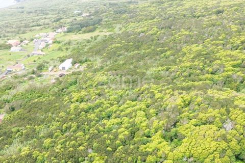 Tomt i Capelo, Faial, Capelo - € 82 500 | Ref: ZMPT579571 - foto 5